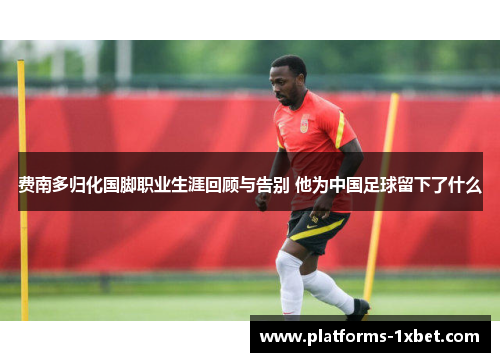 费南多归化国脚职业生涯回顾与告别 他为中国足球留下了什么